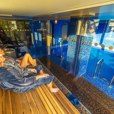 호텔 Peetrimoisa 빌얀디